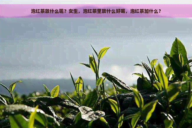 泡红茶放什么呢？女生，泡红茶里放什么好喝，泡红茶加什么？