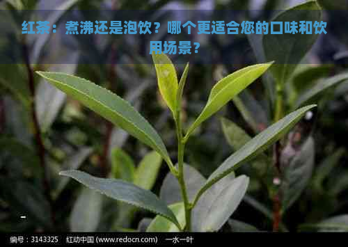 红茶：煮沸还是泡饮？哪个更适合您的口味和饮用场景？