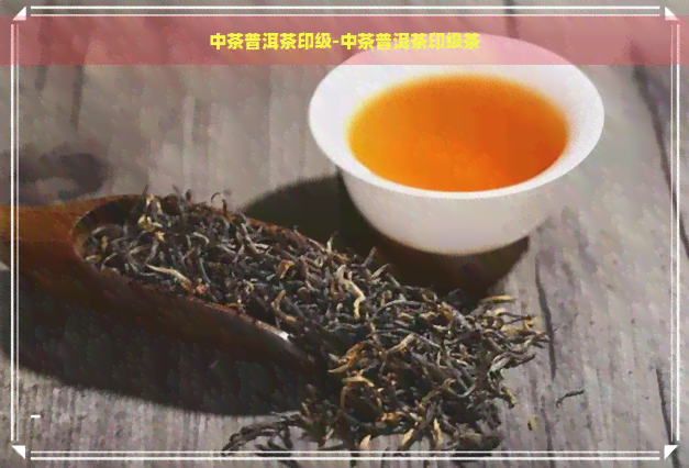 中茶普洱茶印级-中茶普洱茶印级茶