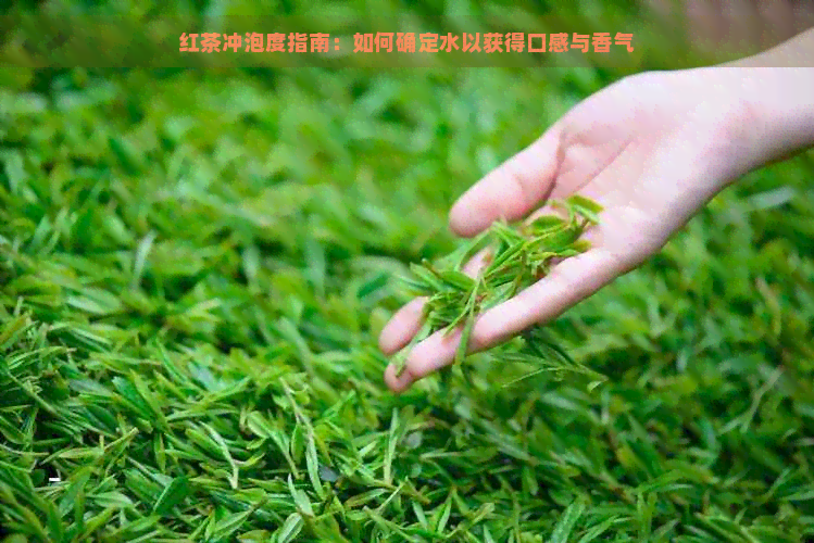 红茶冲泡度指南：如何确定水以获得口感与香气