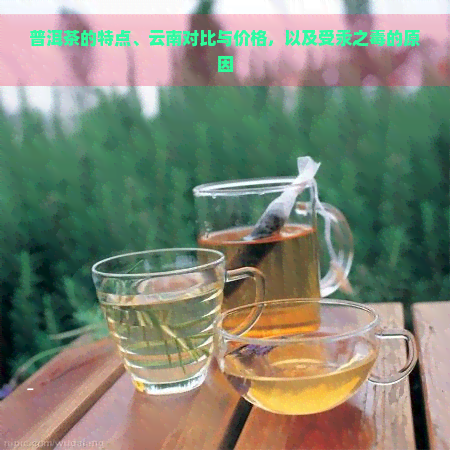 普洱茶的特点、云南对比与价格，以及受汞之的原因