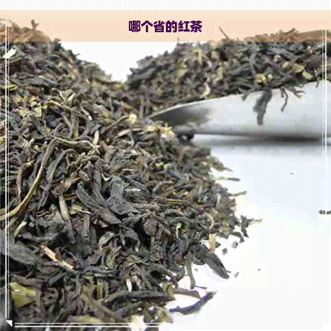 哪个省的红茶