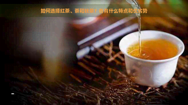 如何选择红茶、茶和秋茶？各有什么特点和优劣势