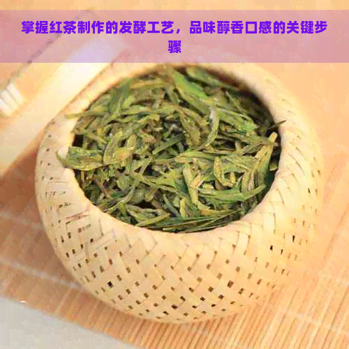 掌握红茶制作的发酵工艺，品味醇香口感的关键步骤