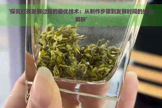 '探究红茶发酵过程的更优技术：从制作步骤到发酵时间的综合解析'