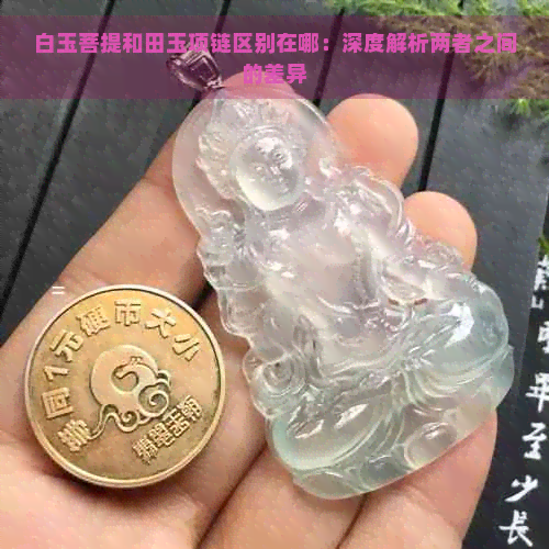 白玉菩提和田玉项链区别在哪：深度解析两者之间的差异