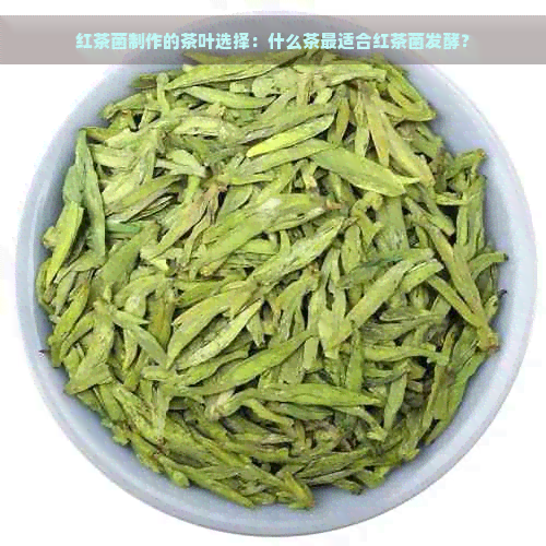 红茶菌制作的茶叶选择：什么茶最适合红茶菌发酵？