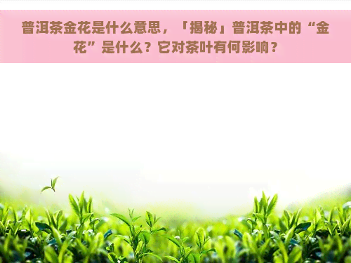 普洱茶金花是什么意思，「揭秘」普洱茶中的“金花”是什么？它对茶叶有何影响？