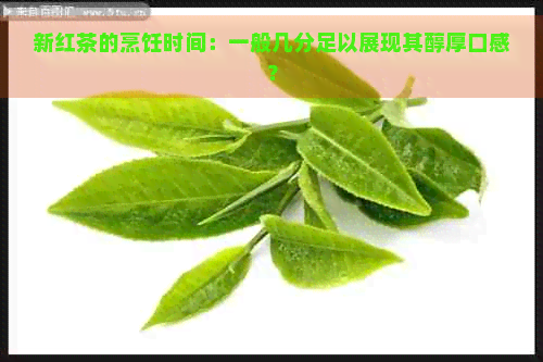 新红茶的烹饪时间：一般几分足以展现其醇厚口感？