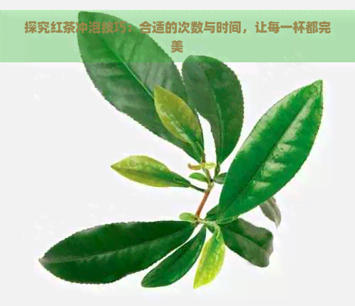 探究红茶冲泡技巧：合适的次数与时间，让每一杯都完美