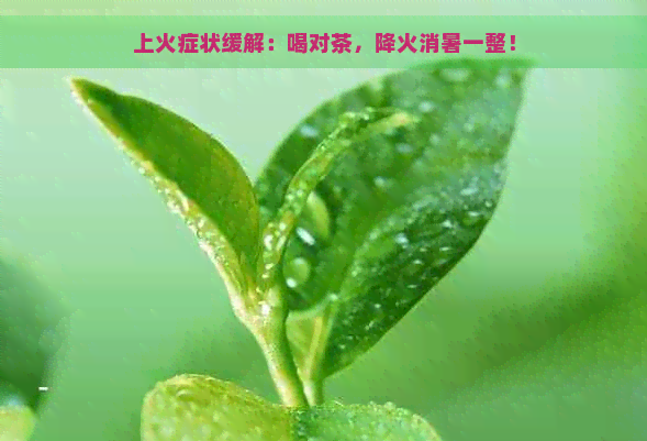 上火症状缓解：喝对茶，降火消暑一整！