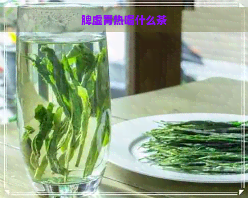 脾虚胃热喝什么茶