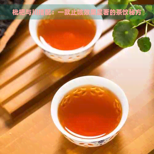 枇杷与川搭配：一款止咳效果显著的茶饮秘方