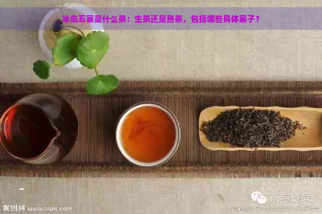 冰岛五寨是什么茶：生茶还是熟茶，包括哪些具体寨子？