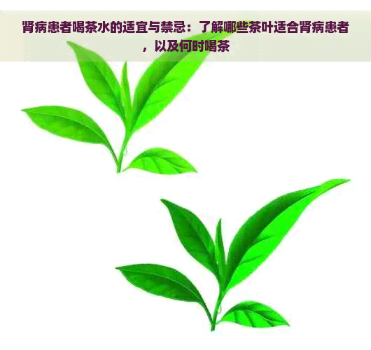 肾病患者喝茶水的适宜与禁忌：了解哪些茶叶适合肾病患者，以及何时喝茶