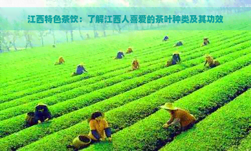 江西特色茶饮：了解江西人喜爱的茶叶种类及其功效