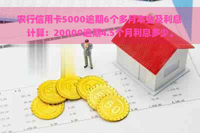 农行信用卡5000逾期6个多月本金及利息计算：20000逾期4.5个月利息多少。