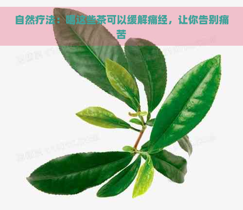 自然疗法：喝这些茶可以缓解痛经，让你告别痛苦