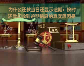 为什么还款当日还显示逾期：按时还款却收到逾期信息的真实原因是什么？