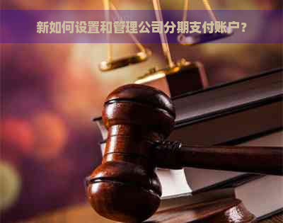 新如何设置和管理公司分期支付账户？