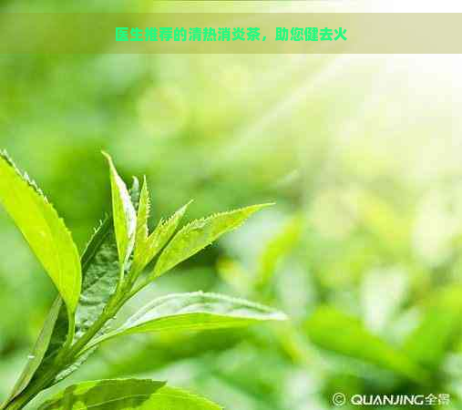 医生推荐的清热消炎茶，助您健去火