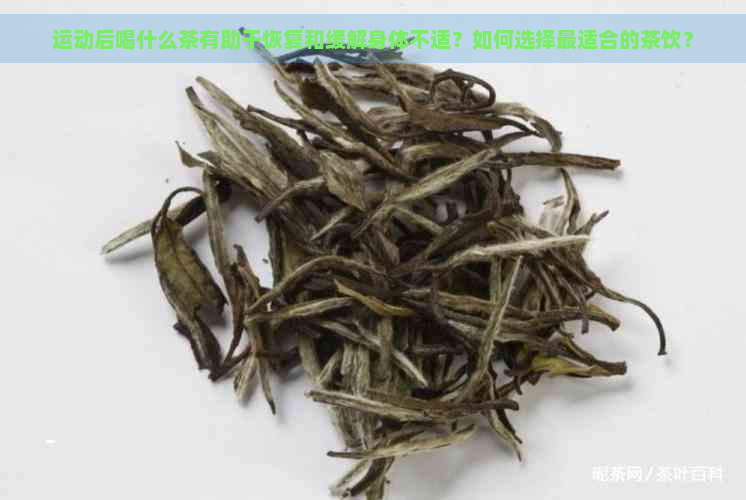 运动后喝什么茶有助于恢复和缓解身体不适？如何选择最适合的茶饮？