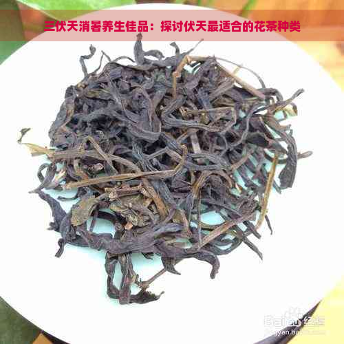 三伏天消暑养生佳品：探讨伏天最适合的花茶种类