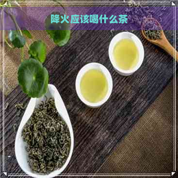 降火应该喝什么茶