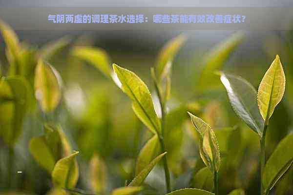 气阴两虚的调理茶水选择：哪些茶能有效改善症状？