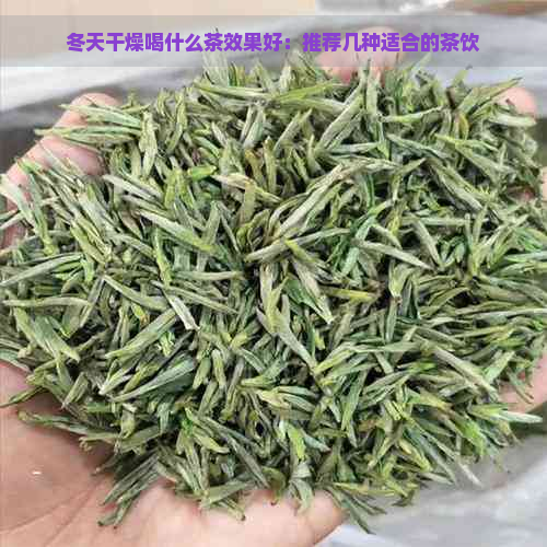 冬天干燥喝什么茶效果好：推荐几种适合的茶饮