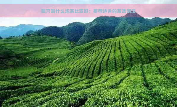 暖宫喝什么泡茶比较好：推荐适合的茶及泡法