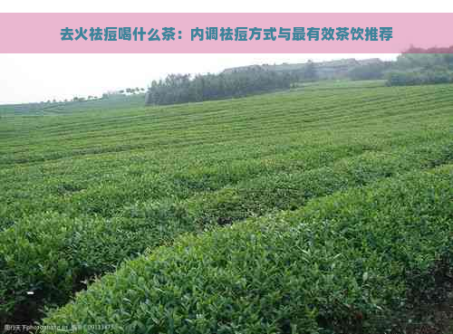 去火祛痘喝什么茶：内调祛痘方式与最有效茶饮推荐