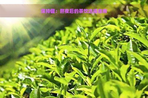 保持健：熬夜后的茶饮选择指南