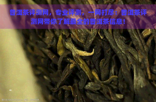 普洱茶评测网，专业评测，一网打尽：普洱茶评测网带你了解最全的普洱茶信息！