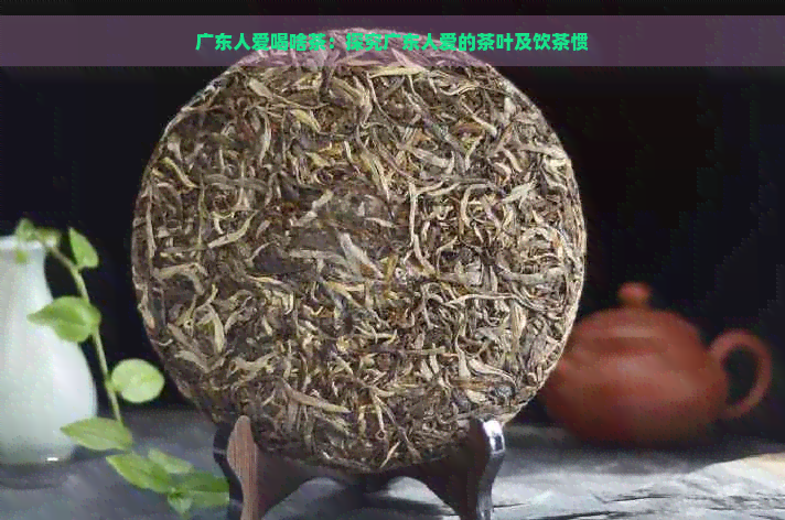 广东人爱喝啥茶：探究广东人爱的茶叶及饮茶惯