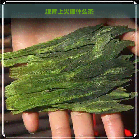 脾胃上火喝什么茶