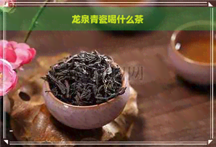 龙泉青瓷喝什么茶