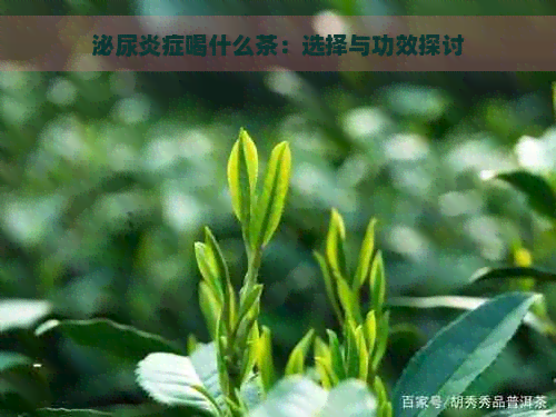 泌尿炎症喝什么茶：选择与功效探讨