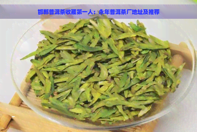 邯郸普洱茶收藏之一人：永年普洱茶厂地址及推荐