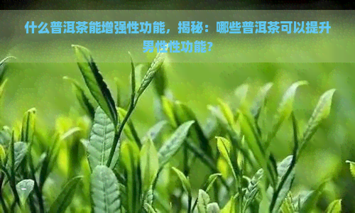 什么普洱茶能增强性功能，揭秘：哪些普洱茶可以提升男性性功能？