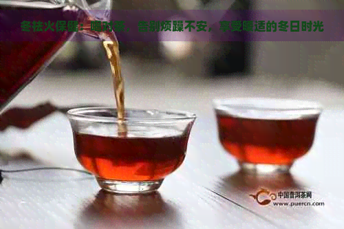 冬祛火保健：喝对茶，告别烦躁不安，享受暖适的冬日时光