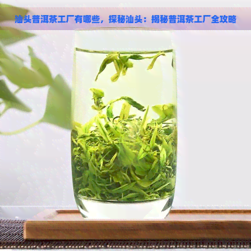 汕头普洱茶工厂有哪些，探秘汕头：揭秘普洱茶工厂全攻略