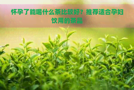 怀孕了能喝什么茶比较好？推荐适合孕妇饮用的茶品