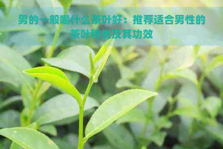 男的一般喝什么茶叶好：推荐适合男性的茶叶种类及其功效