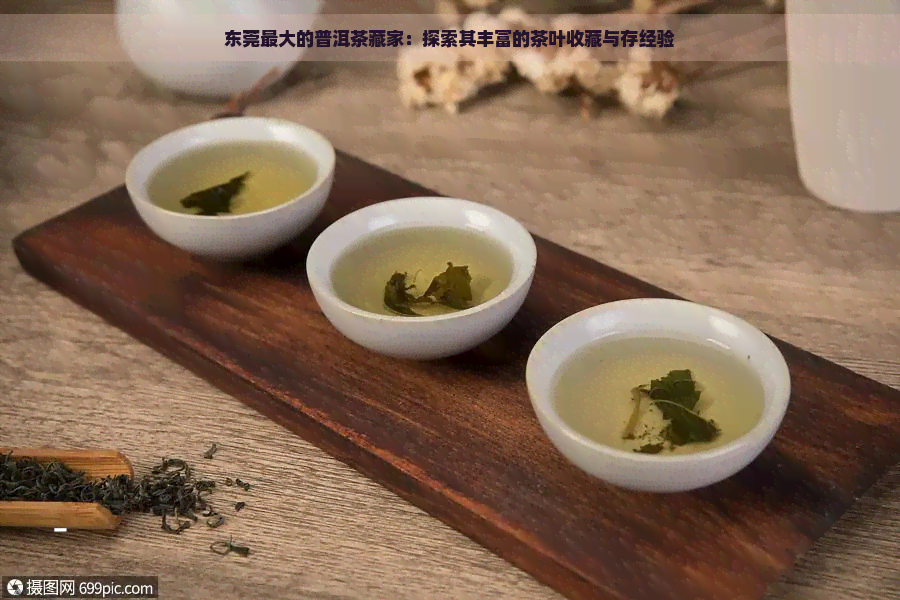 东莞更大的普洱茶藏家：探索其丰富的茶叶收藏与存经验