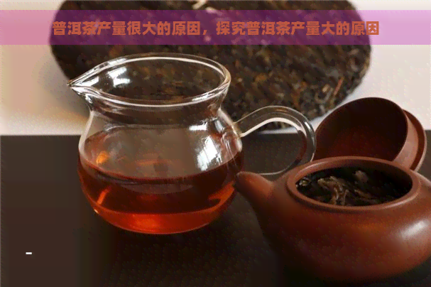 普洱茶产量很大的原因，探究普洱茶产量大的原因