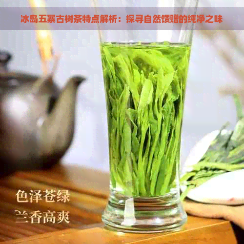 冰岛五寨古树茶特点解析：探寻自然馈赠的纯净之味