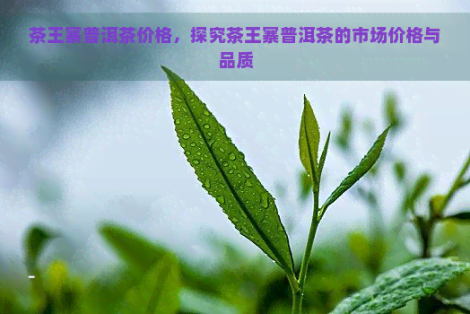 茶王寨普洱茶价格，探究茶王寨普洱茶的市场价格与品质