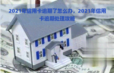 2021年信用卡逾期了怎么办，2021年信用卡逾期处理攻略