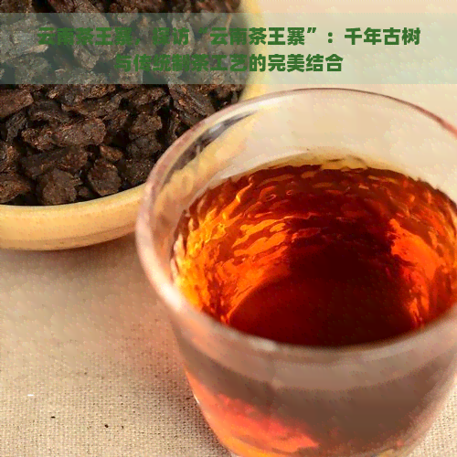 云南茶王寨，探访“云南茶王寨”：千年古树与传统制茶工艺的完美结合